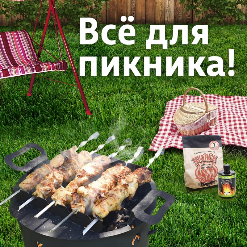 ГОТОВЬТЕСЬ К ПИКНИКУ С ВЫГОДОЙ!