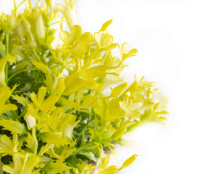 Цветок искусственный "Луговой" 20смR010448 000000000001189313