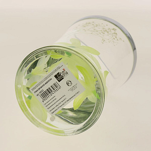 Стакан д\ванной "Водоросли"A8922 000000000001161317