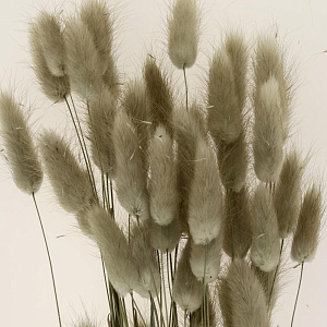 Цветок искусственный "Колос" сухоцвет 75см R011047 000000000001199237