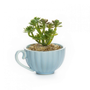 Цветок искусственный Суккулент 8см R010633 000000000001192374