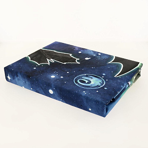 КПБ 1.5 хлопок "Как приручить дракона" Neon (50х70) рисунок 16125-1/16126-1 Фурии 000000000001195393