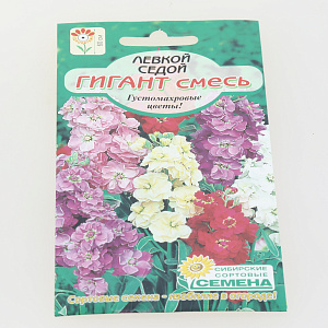 Семена Левкой Гигант седой, смесь 0,1гр (ссс) ЛИДЕР ПРОДАЖ! СС011370 пакет 000000000001194796
