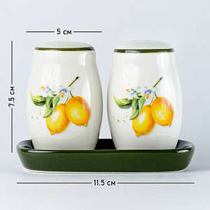 Набор для специй 11,3x6,9x7,8см Лимоны Доломит M56036 000000000001193766