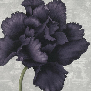 Репродукция 30х30см ДЕКАРТ д8С0098 000000000001162687