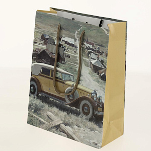 Подарочный бумажный пакет Премиум+, 22x17x10 см 000000000001036473