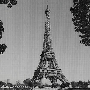 Картина для интерьера 30х40 - это современное и актуальное направление в дизайне помещений. Материал: Дерево 000000000001195680