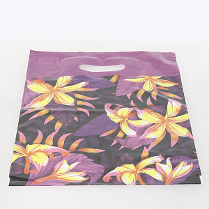 Пакет с прорубной ручкой 30х40см 50мкм ИНТЕРПАК Бразильская ночь полиэтилен 000000000001215303