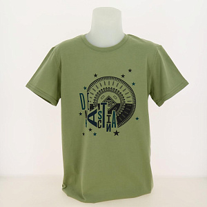 Футболка для мальчика DE'NASTIA трикотаж 140 (9-10лет) зеленый 100%Хлопок I000152 000000000001178268