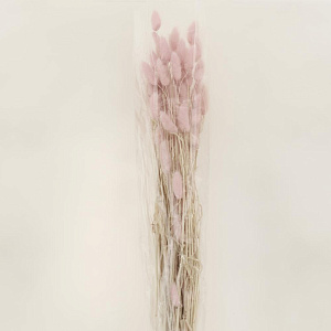Цветок искусственный "Колос" сухоцвет 75см R011047 000000000001199237