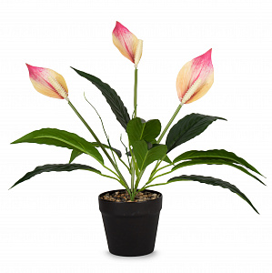 Цветок искусственный растение Спатифиллум 44см розовый в горшке 000000000001218467