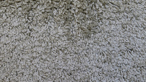 Ковер Shaggy Viva(30) 1039 2 34500 0,6x0,9 бежевый PC05282 000000000001192818