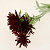Цветок искусственный "Хризантема игольчатая" 72см R010713 000000000001196642