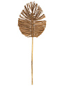 Сухоцветы 22x2x75см DE'NASTIA лист плетеный натуральный 000000000001228210