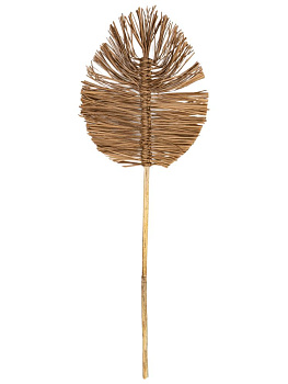 Сухоцветы 22x2x75см DE'NASTIA лист плетеный натуральный 000000000001228210