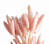 Цветок искусственный Лагурус 60-70см сухоцвет 000000000001216384