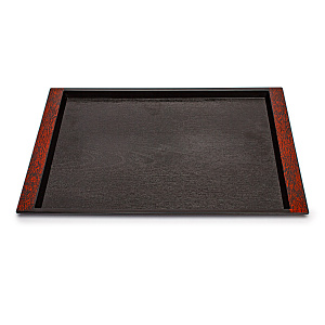 Поднос АБС прямоугольный пластик 000000000001176185