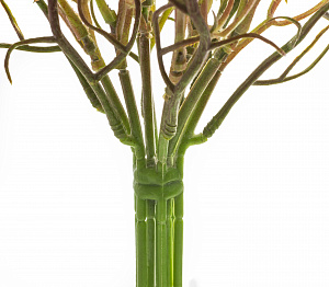 Цветок искусственный Ветка Гипсофила 30см R011354 000000000001205618