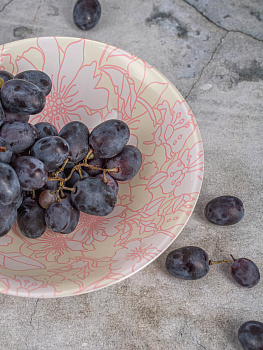 COVENT GARDEN MARVELLA Салатник 16,5см LUMINARC L2851 000000000001144416