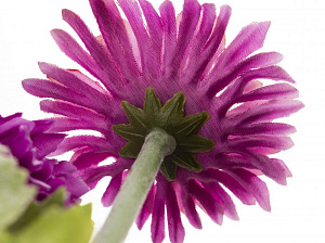 Цветок искусственный Хризантема садовая 18см R010644 000000000001192385