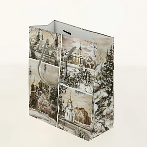 Подарочный бумажный пакет Премиум+, 22x17x10 см 000000000001036473