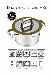 Кастрюля 3л 20x11,5см DE'NASTIA с крышкой конус оливковый нержавеющая сталь/силикон 000000000001217247