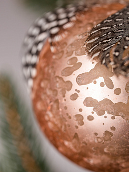 Набор новогодних шаров 3шт 8см с пером и деревянным крючком шампань пластик 000000000001209020