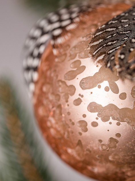 Набор новогодних шаров 3шт 8см с пером и деревянным крючком шампань пластик 000000000001209020