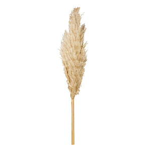 Цветок искусственный Сухоцвет Пампасная трава 1м 000000000001222193