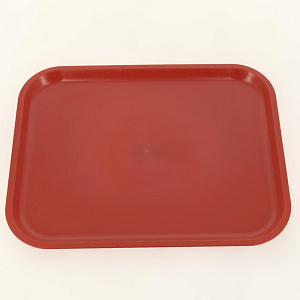Поднос для продуктов 45,5х35,5х2,5см ОНЕСТ ударопрочный для заморозки пластик 000000000001200935