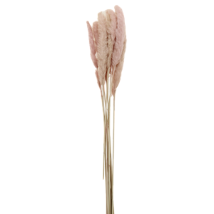 Цветок искусственный "Трава" сухоцвет 10шт 70см микс R011098 000000000001199262