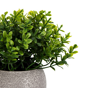 Цветок искусственный растение Самшит 13см в горшке 000000000001218482