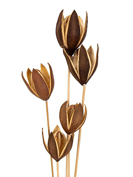 Сухоцветы 16x7x70см DE'NASTIA Лилия микс цветов 000000000001228193