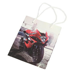 Подарочный пакет Премиум +, 11х14х6 см, бумага, текстиль 000000000001036472