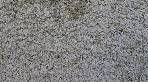 Ковер Shaggy Viva(30) 1039 2 34500 0,7x1,4 бежевый PC05283 000000000001192819