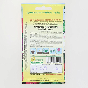 Семена Вербена Мамут, смесь гибридная 0,1гр (ссс) ЛИДЕР ПРОДАЖ! СС015005 пакет 000000000001183925