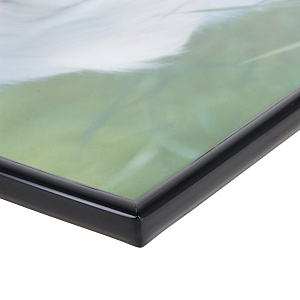 Постер Животные Постер-Лайн, 40х50 см 000000000001092606