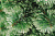 Пихта искусственная 190см БИФОРЕС Южная ПВХ - длинная жесткая хвоя, имитирующая сосновые ветви, дополнена веточками из мягкой ПВХ-хвои 000000000001208781