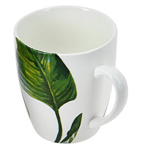 Кружка Экзотика 000000000001173741