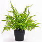 Цветок искусственный "Папоротник" 35см R010799
