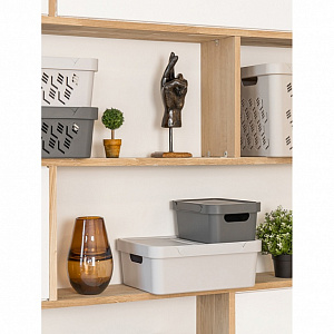 Ящик 38х27,6х14см 12л ECONOVA LUXE универсальный с крышкой светло-бежевый пластик 000000000001206123