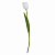 Цветок искусственный Тюльпан 49,2см белый 000000000001218372