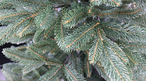 Ель искусственная 195см БИФОРЕС Дриада литая темно-зеленый ПВХ 000000000001214448