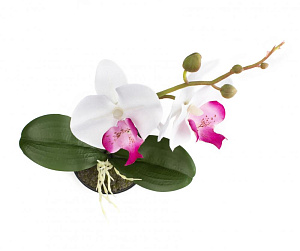 Цветок искусственный "Орхидея" 23см R010818 000000000001196700