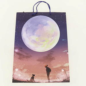 Подарочный бумажный пакет Премиум+, 45x33x10 см 000000000001036477