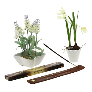 Ароматические палочки Шоколад Индокитай-Сибирь 000000000001001698