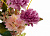 Цветок искусственный Хризантема мультифлора 17см R010642 000000000001192383