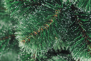 Ель искусственная 190см БИФОРЕС Пихта Алтай ПВХ 000000000001214435