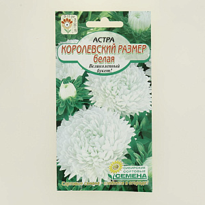 Семена Астра Королевский размер Белая 0,2гр.(ссс) ЛИДЕР ПРОДАЖ! СС009335 пакет 000000000001194686