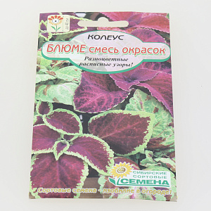 Семена Блюмме, смесь колеус 0,05гр.(ссс) ЛИДЕР ПРОДАЖ! УТ000006295 пакет 000000000001194791